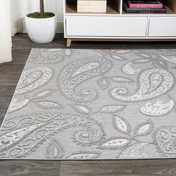 Julien Paisley High-low Indoor/outdoor Area Rug
